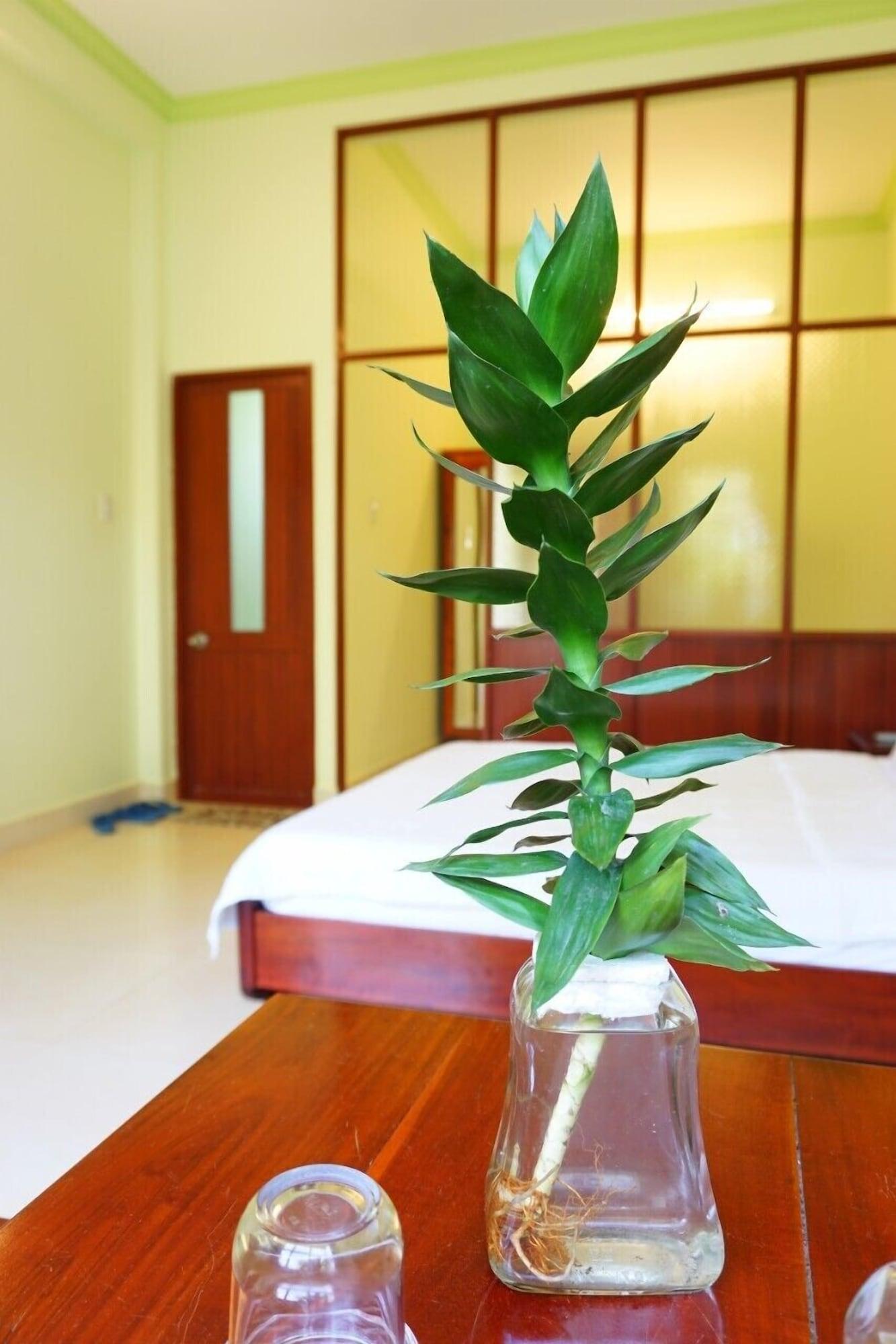 מואי נה Cat Tien Guesthouse מראה חיצוני תמונה